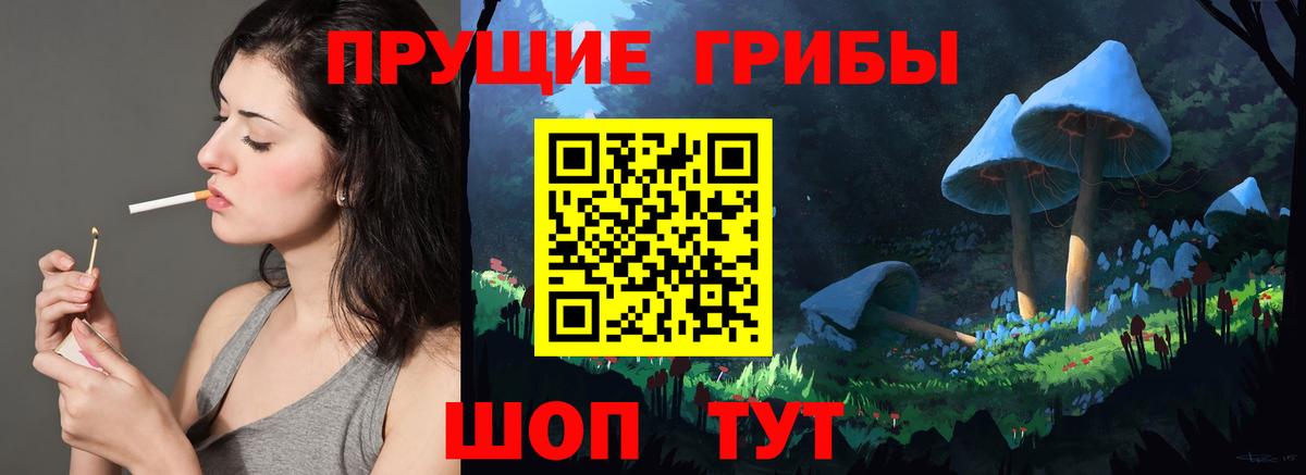 Галлюциногенные грибы Cubensis  Вход с VPN  Кудымкар 